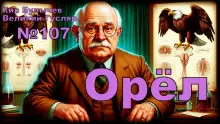 Обложка книги Орёл