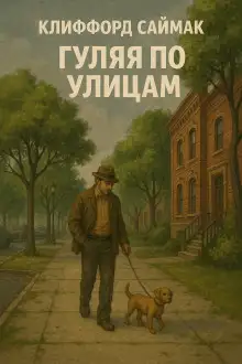 Обложка книги Мы просто ходим по улицам