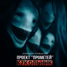 Обложка книги Кукольник