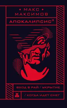 Обложка книги Когда идёт снег