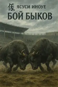 Обложка книги Бой быков