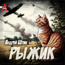 Обложка книги Рыжик