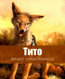 Обложка книги Тито - дочь степей