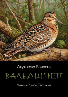 Обложка книги Вальдшнеп