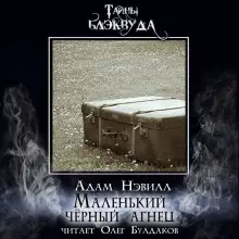 Обложка книги Маленький черный агнец