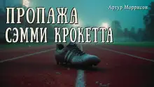 Обложка книги Пропажа Сэмми Крокетта