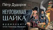 Обложка книги Неуловимая шайка