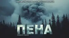 Обложка книги Пена