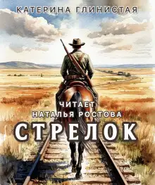 Обложка книги Стрелок