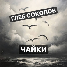 Обложка книги Чайки