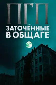 Обложка книги Погрешность голографического принципа