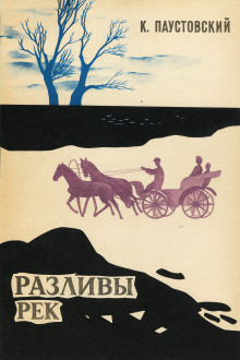 Обложка книги Разливы рек
