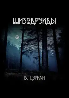 Обложка книги Шизодруиды