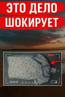 Обложка книги 45 лет молчания, Твиттер и ДНК