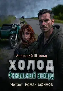 Обложка книги Холод-6. Финальный аккорд