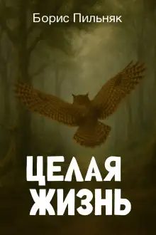 Обложка книги Целая жизнь