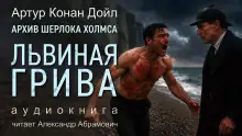 Обложка книги Львиная грива