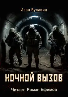 Обложка книги Ночной вызов