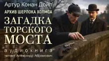 Обложка книги Загадка Торского моста