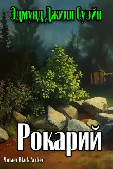 Обложка книги Рокарий