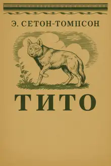 Обложка книги Тито