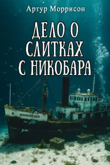 Обложка книги Дело о слитках с Никобара