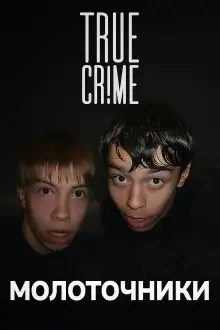 Обложка книги Академгородок: молотки в ночи Иркутска