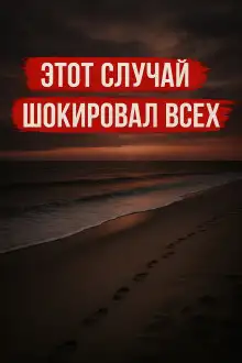 Обложка книги Вышла с ребенком в магазин и исчезла