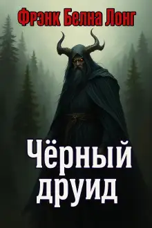 Обложка книги Чёрный друид