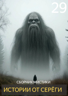 Обложка книги Истории от Серёги №29