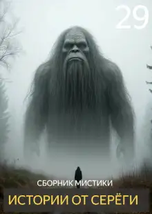 Обложка книги Истории от Серёги №29
