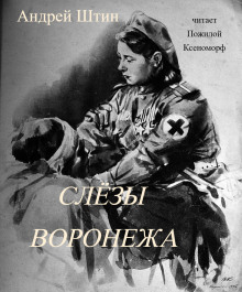 Обложка книги Слёзы Воронежа