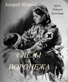 Обложка книги Слёзы Воронежа