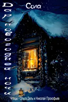 Обложка книги Дар новогодней ночи