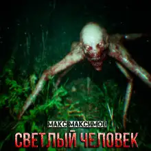 Обложка книги Светлый человек