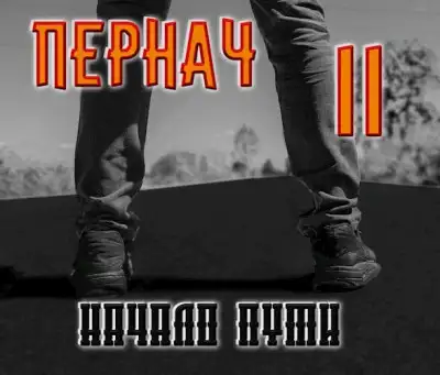 Обложка книги Пернач. Начало пути