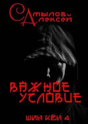 Обложка книги Важное Условие