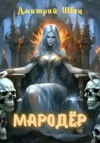 Обложка книги Мародёр
