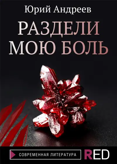 Обложка книги Раздели мою боль