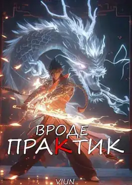 Обложка книги Вроде практик