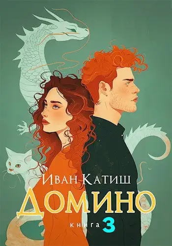 Обложка книги Домино 3
