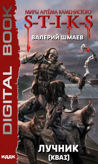 Обложка книги Лучник. Кваз