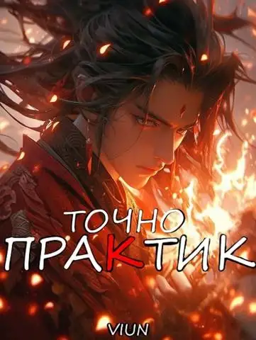 Обложка книги Точно практик 4