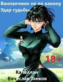 Обложка книги Ванпанчмен не по канону. Удар судьбы