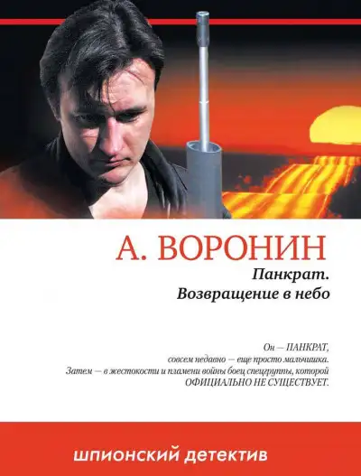 Обложка книги Возвращение в небо