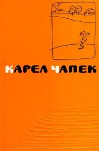 Обложка книги Метеор