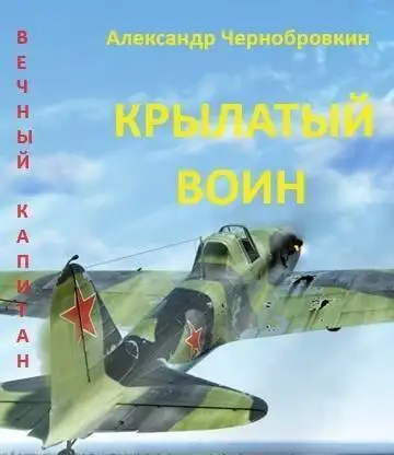 Обложка книги Крылатый воин