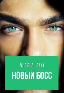 Обложка книги Новый босс