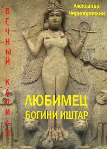 Обложка книги Любимец богини Иштар