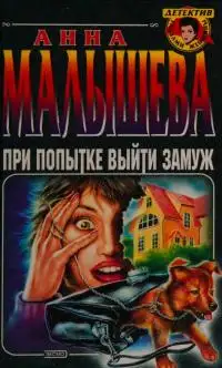 Обложка книги При попытке выйти замуж